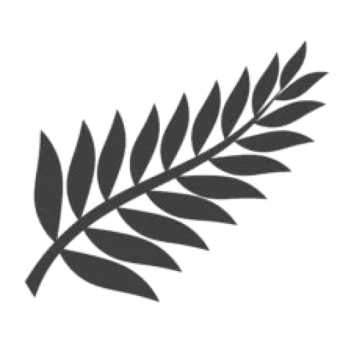 NZ-leaf-300x226-removebg-preview